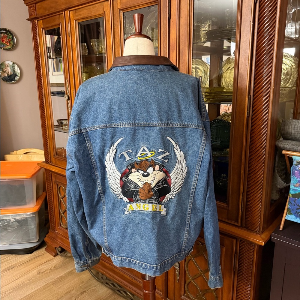 Warner Bros. Purple and Brown Jacket